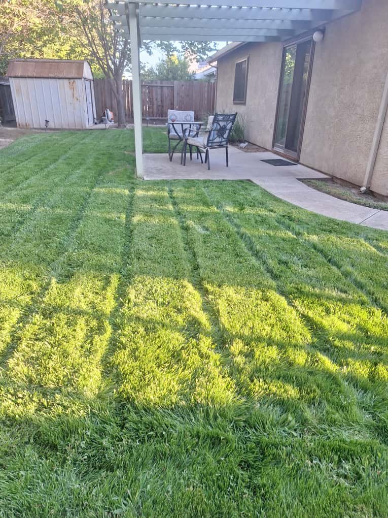 Concrete or landscape project photo #5 by Gonzales Concrete